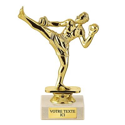 Trophée boxe française plastique 15cm