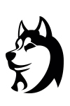C15 - Chien