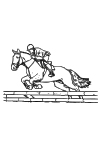E01 - Equitation