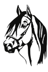 E02 - Cheval