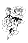 ED15 - Rose