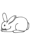 L02 - Lapin