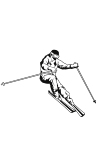 S01 - Ski