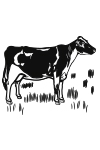 V00 - Vache