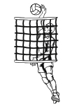 V04 - Volleyball homme