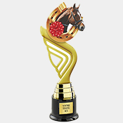 Trophées Plexi Couleur