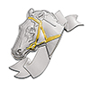 AM07 - Equitation